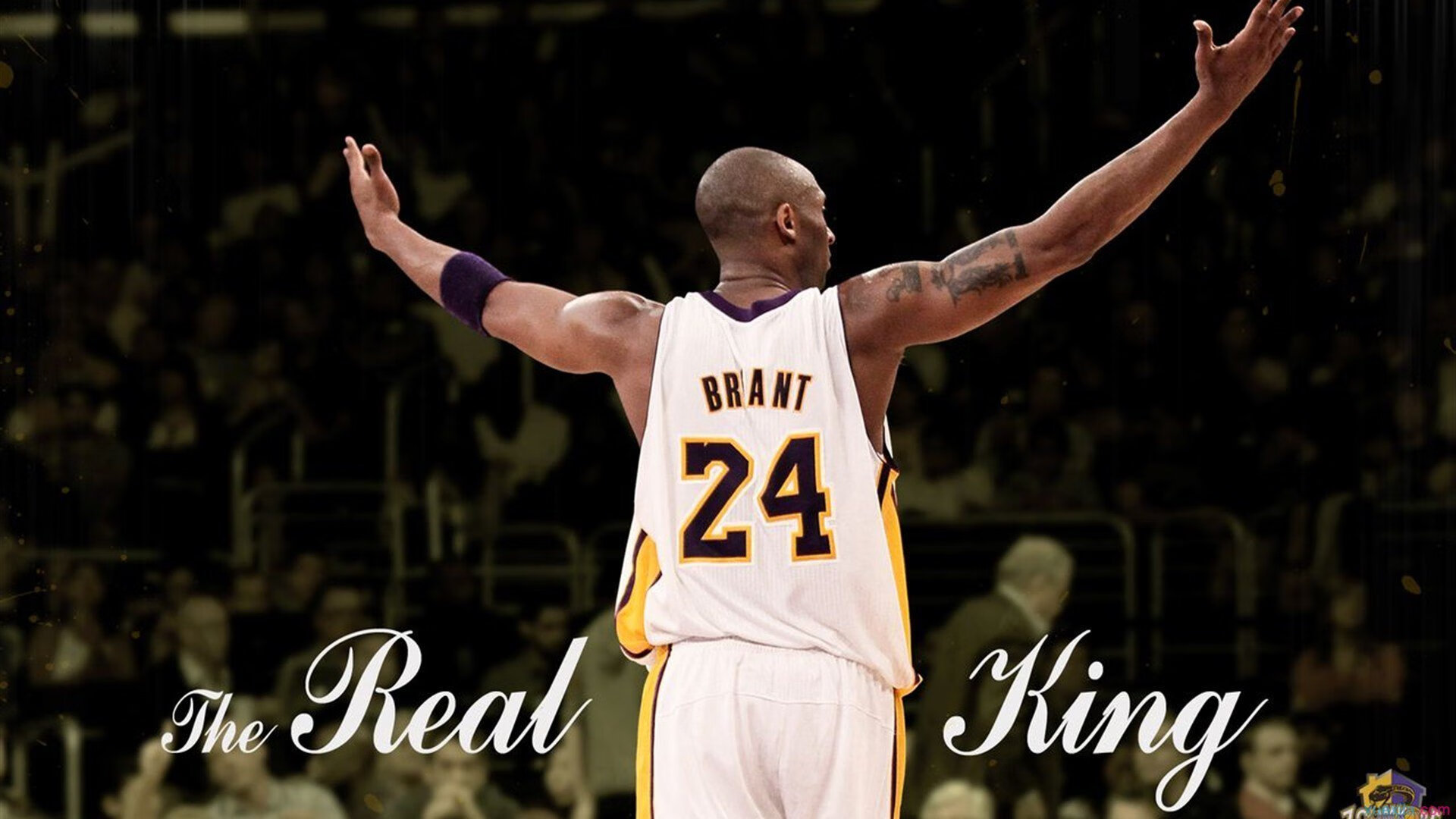 格鲁塞全力冲刺赢得掌声不断，格鲁赛特视频