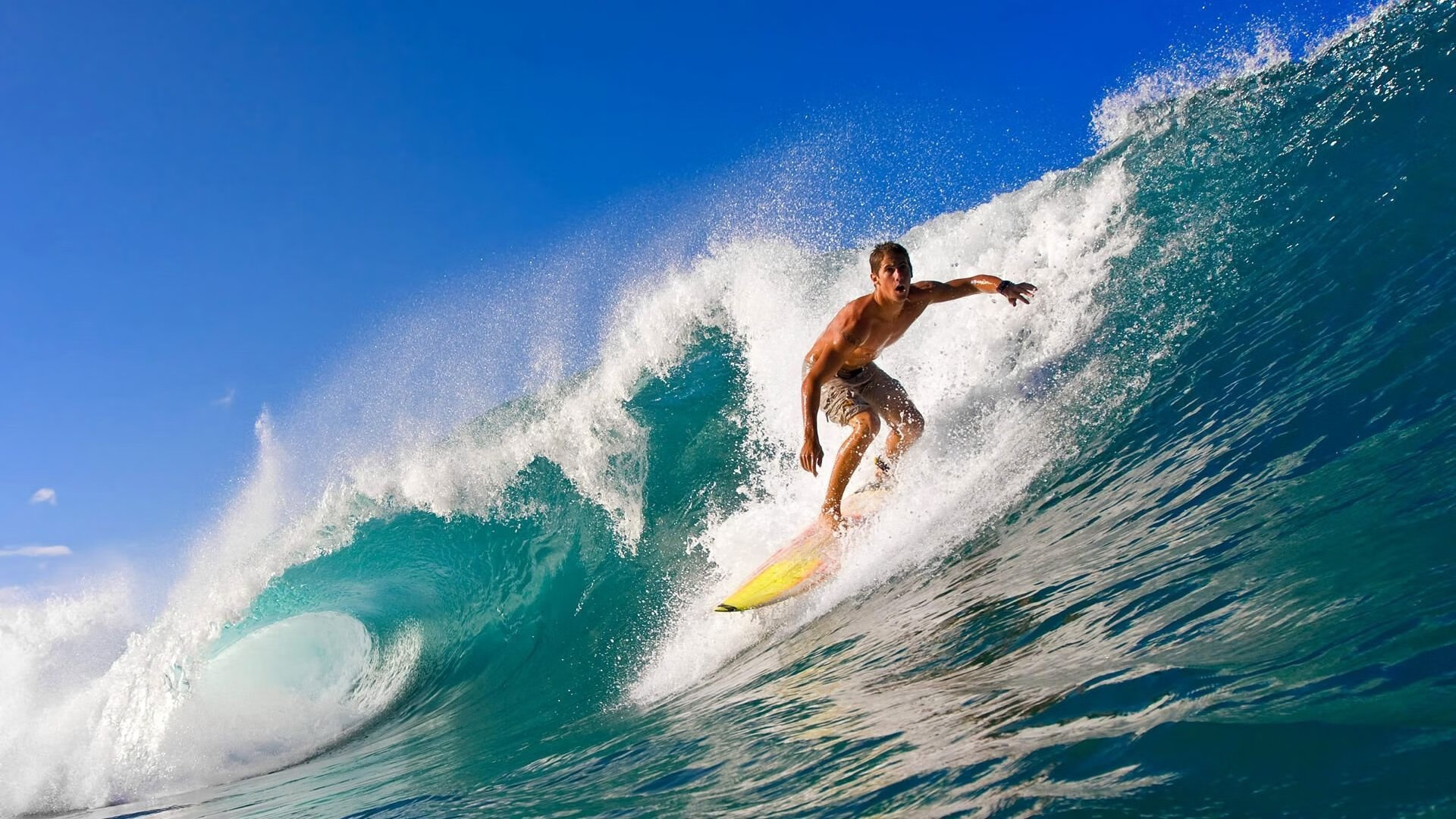 澳大利亚橄榄球市场价值快速增长，澳大利亚nrl橄榄球联赛